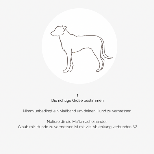 Hundegeschirr CARE Teddy beige
