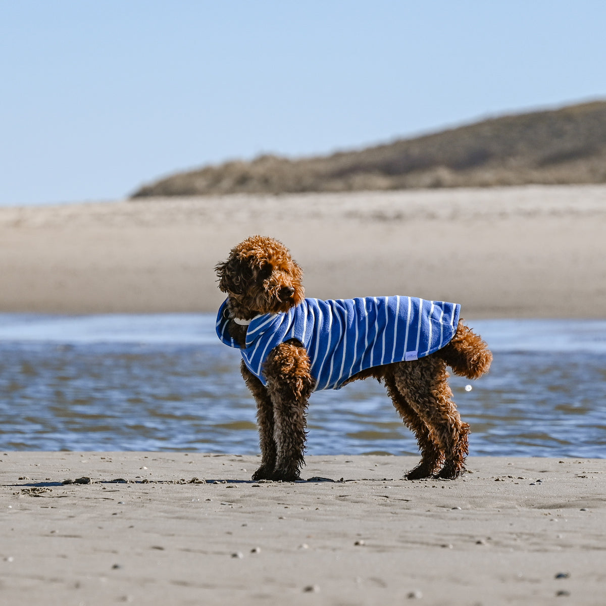 Hundebademantel CosyShirt küstenblau gestreift