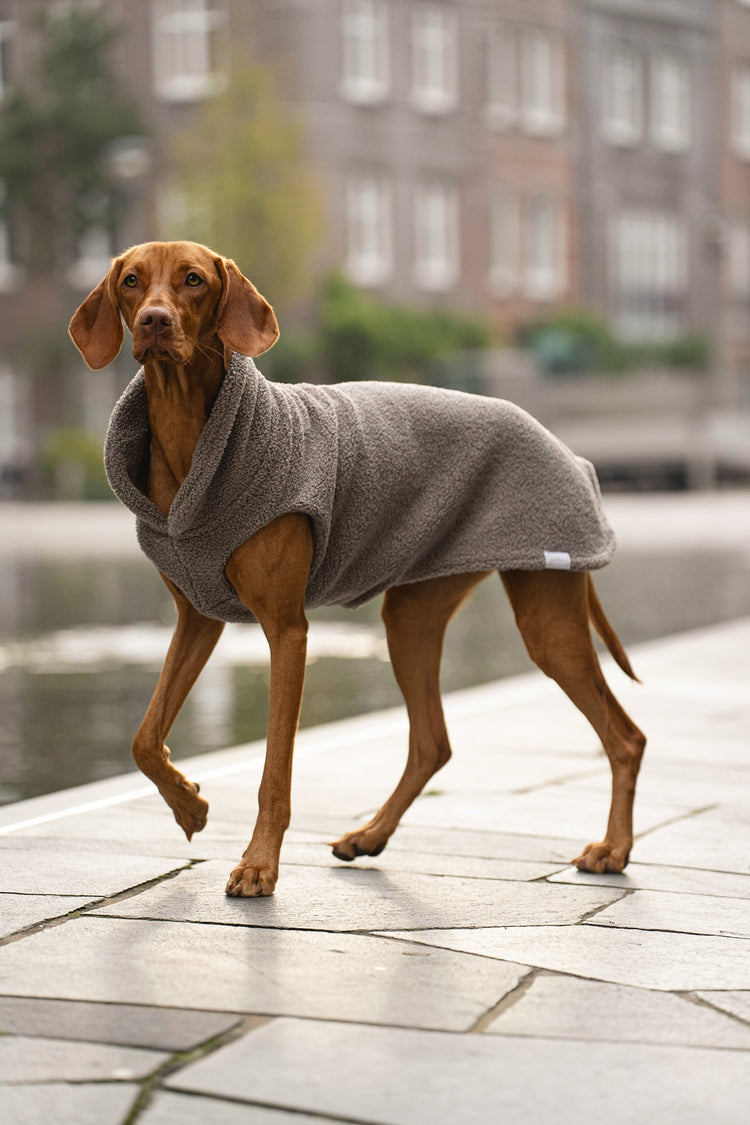 HUNDEPULLOVER COSYSHIRTS STAY WARM