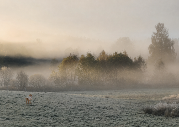 HERBST- / WINTERKOLLEKTION