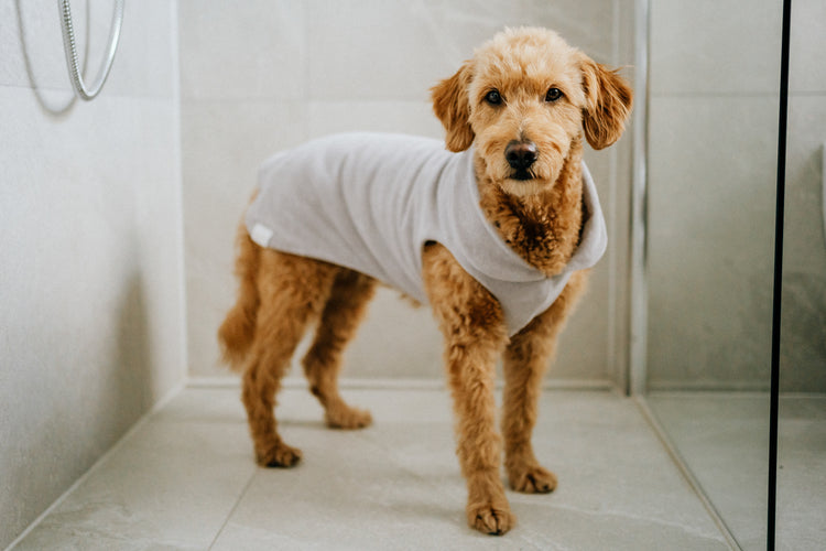 HUNDEBADEMÄNTEL COSYSHIRTS DRY