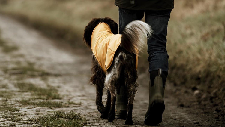 HUNDEKLEIDUNG