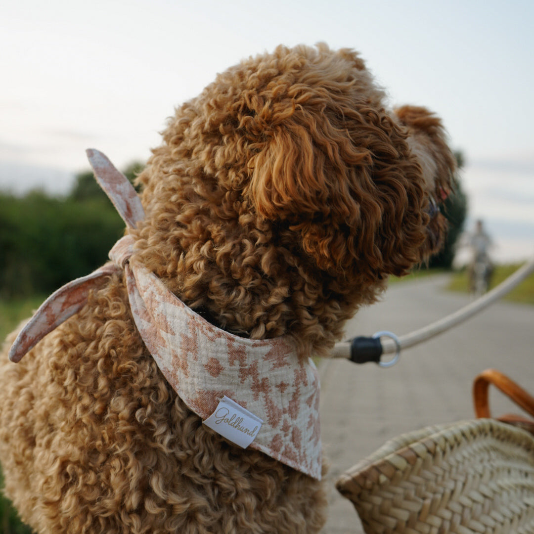 Hundehalstuch hell cognac / hellbeige