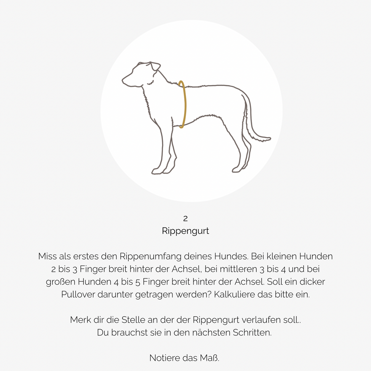 Hundegeschirr PURE Teddy dunkelbraun