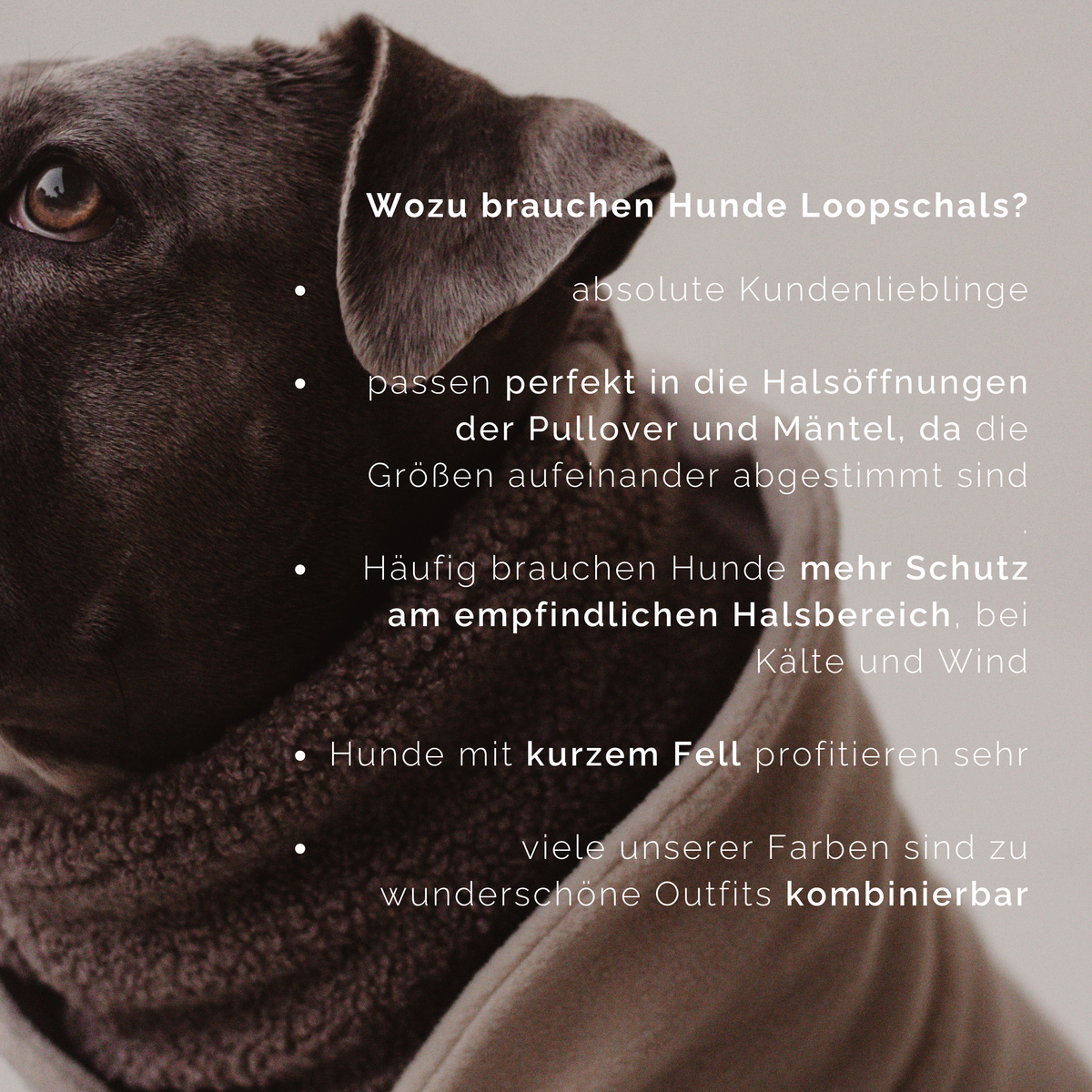 SALE Hundeloop Teddy taupe XXL