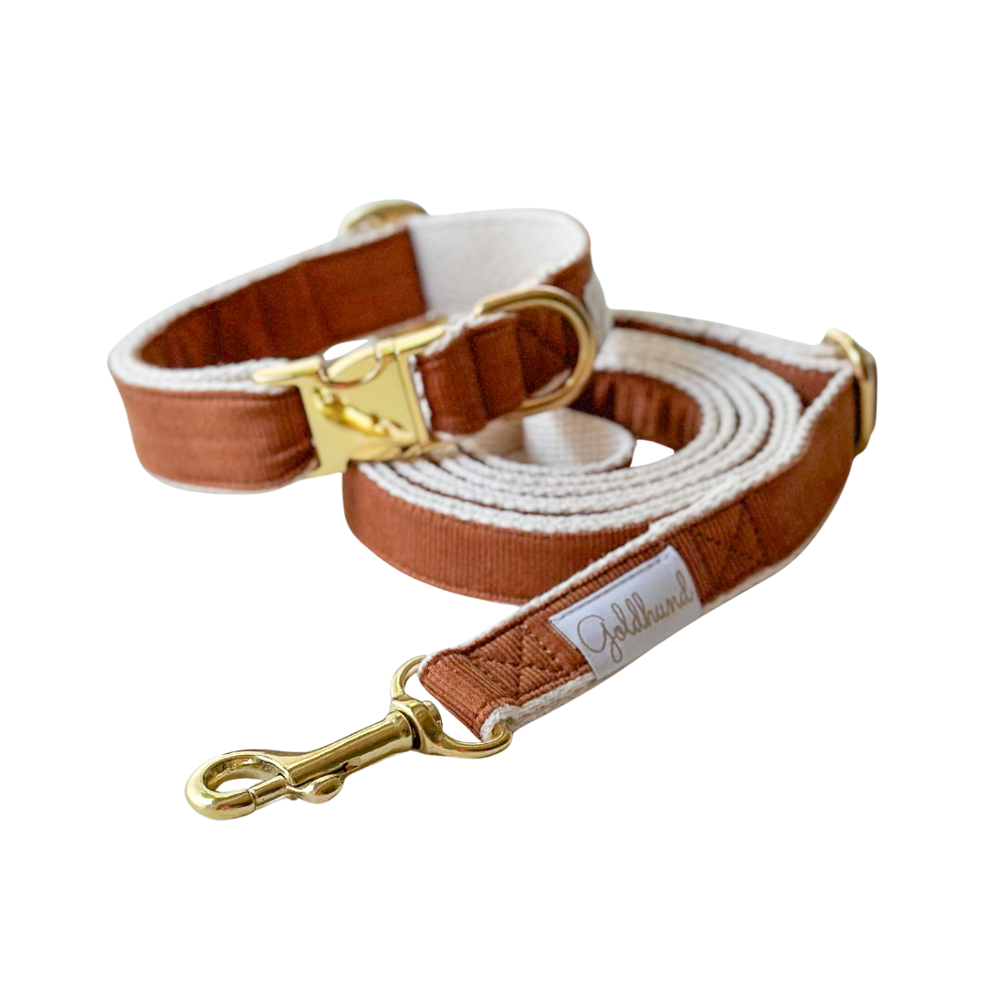 Happy paw Hundeleine - Cord cognac