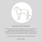 Hundebademantel CosyShirt dry hellbeige