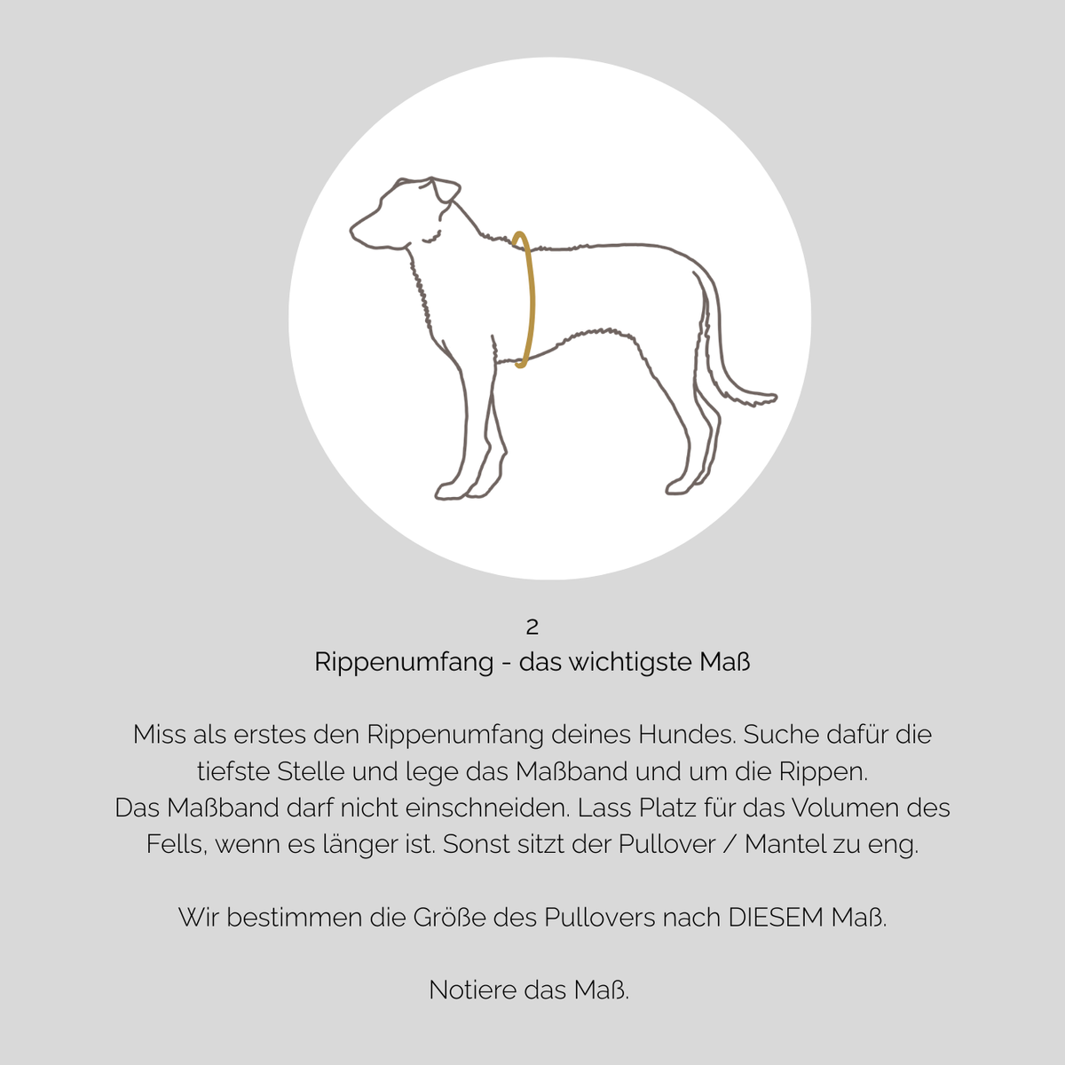 Hundebademantel CosyShirt dry hellbeige