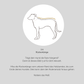 Hundebademantel CosyShirt dry hellbeige