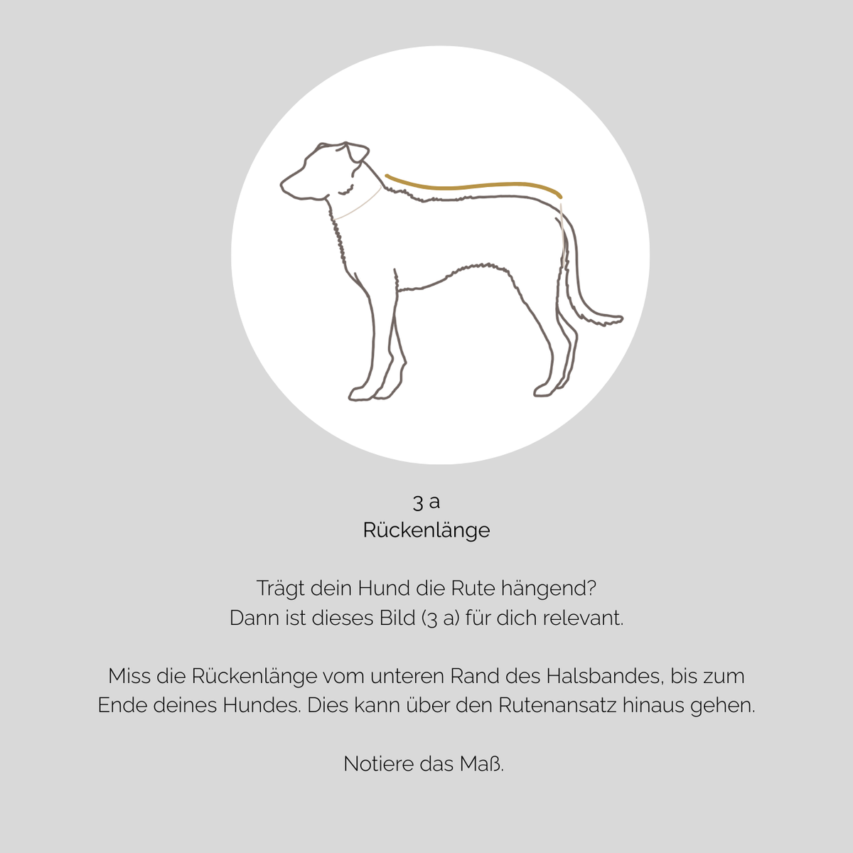 Hundebademantel CosyShirt dry hellbeige