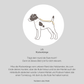 Hundebademantel CosyShirt dry hellbeige