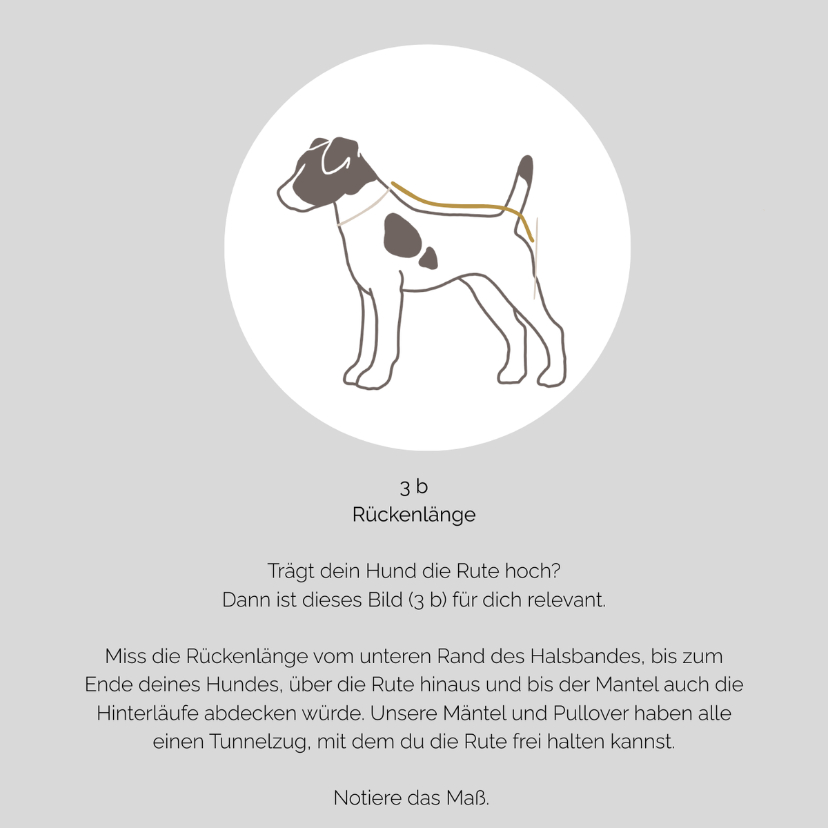 Hundebademantel CosyShirt dry hellbeige