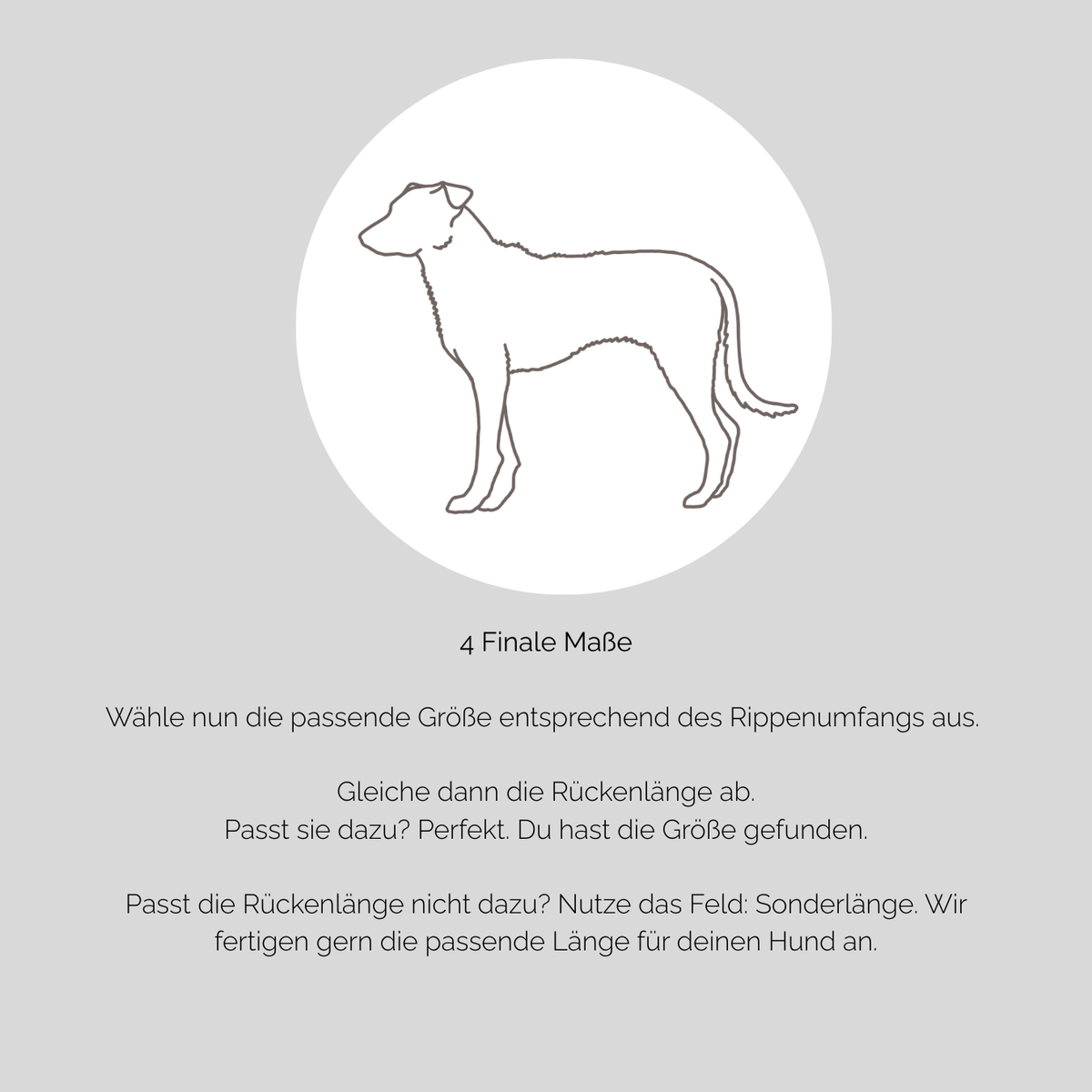Hundebademantel CosyShirt dry hellbeige