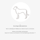 Hundegeschirr CARE outdoor beige