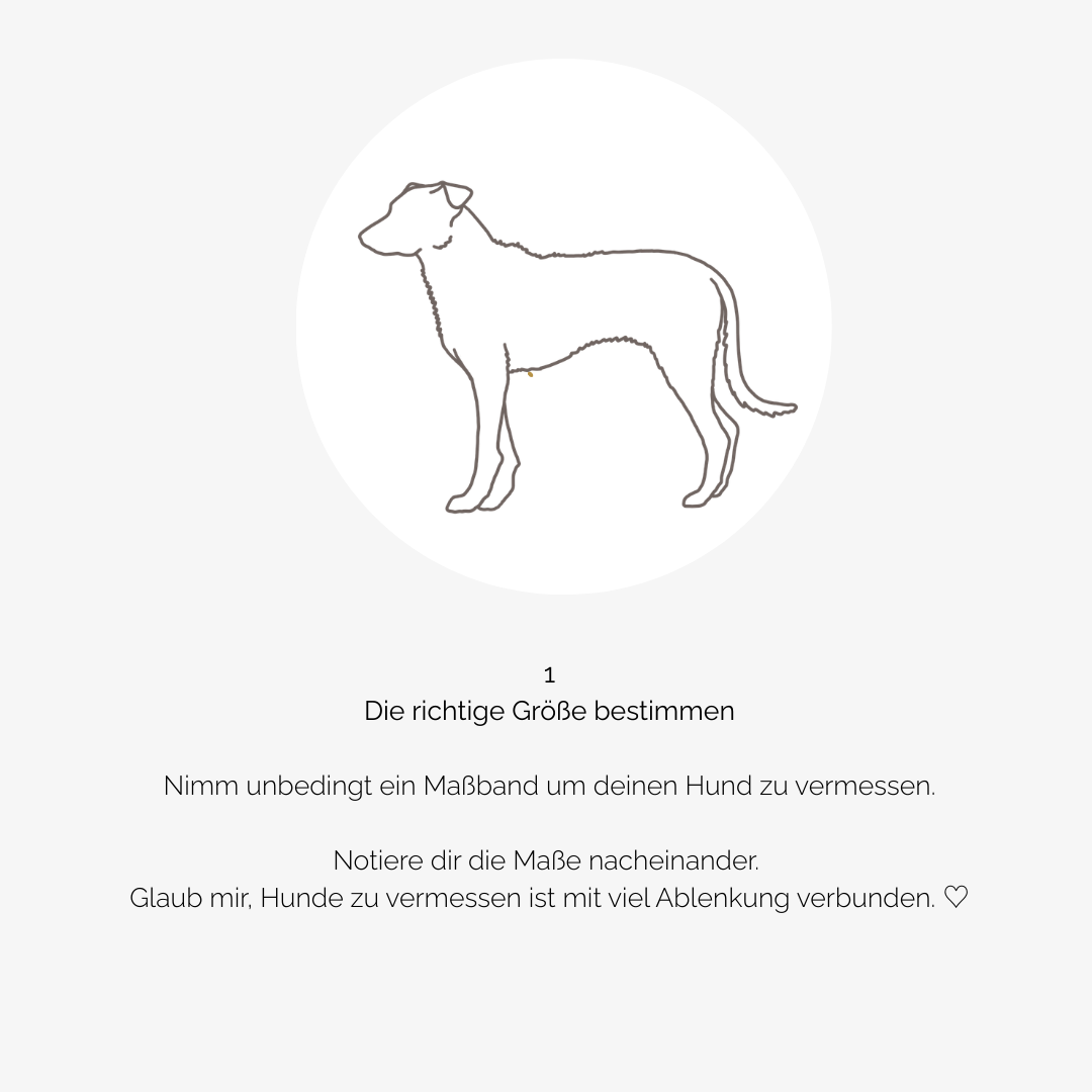 Hundegeschirr CARE outdoor beige