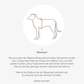 Hundegeschirr CARE outdoor beige