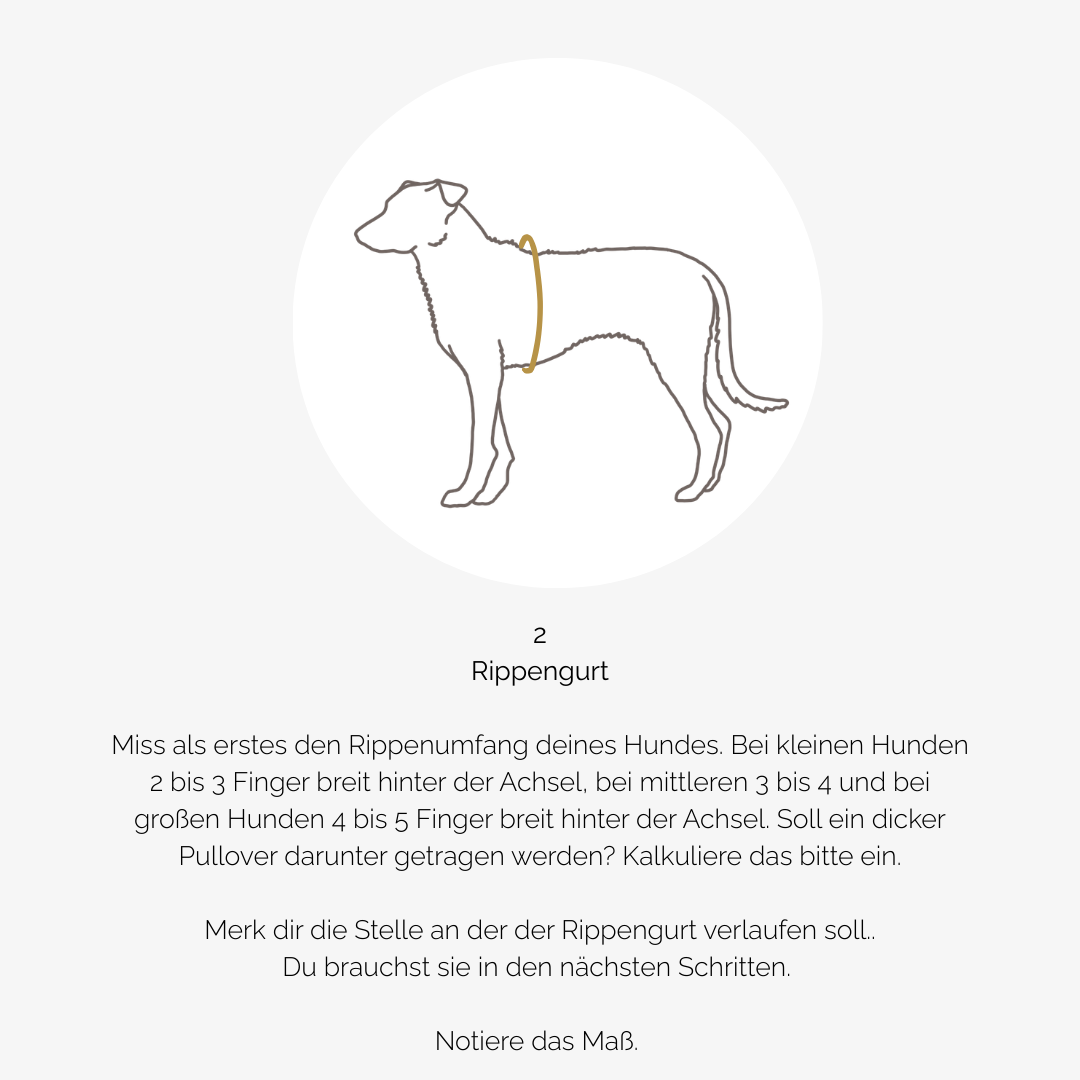 Hundegeschirr CARE outdoor beige