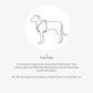 Hundegeschirr CARE outdoor beige