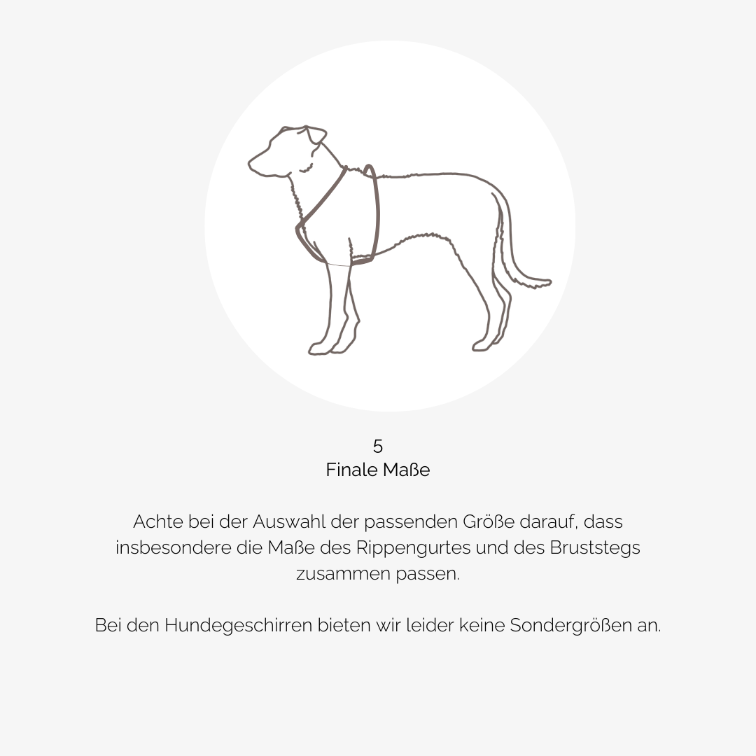 Hundegeschirr CARE outdoor beige