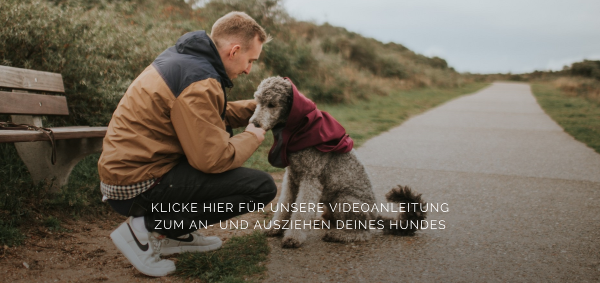 Video laden: 