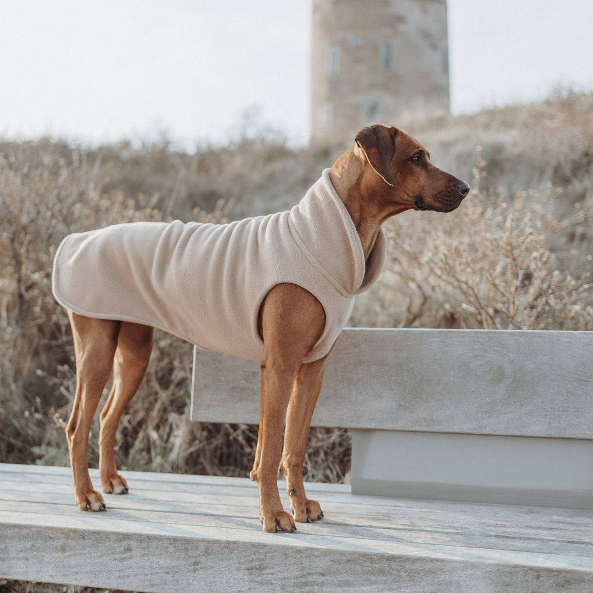 Hundepullover CosyShirt stay warm Fleece oatmeal