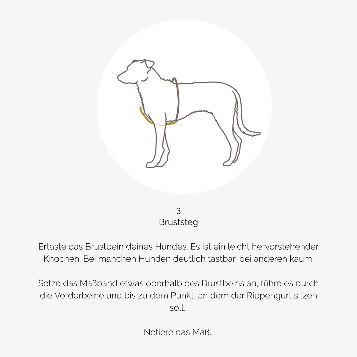Hundegeschirr PURE Teddy dunkelbraun