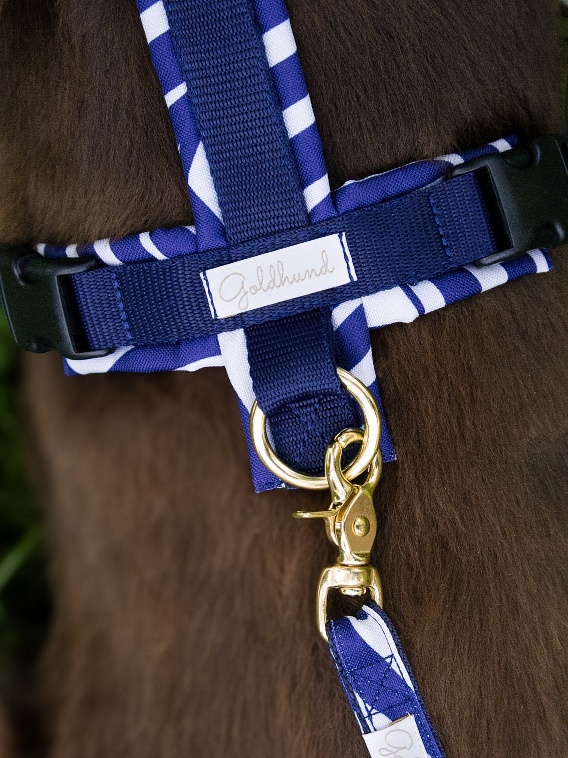 Hundegeschirr PURE blue Leaves