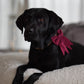 Schleife Cord bordeaux