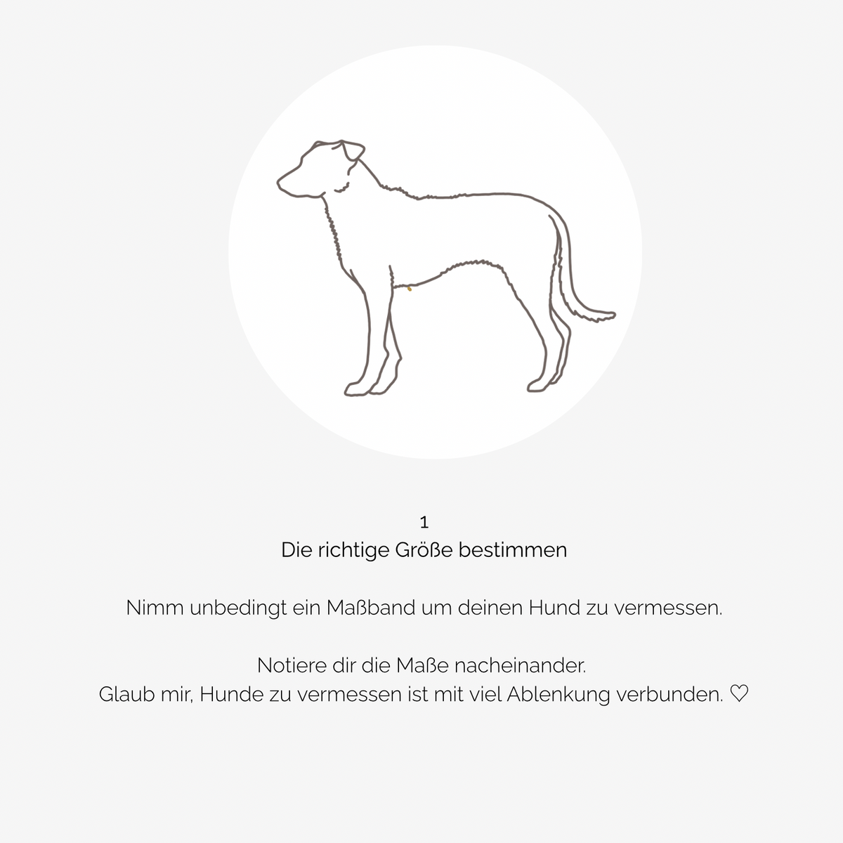 Hundegeschirr PURE Teddy dunkelbraun