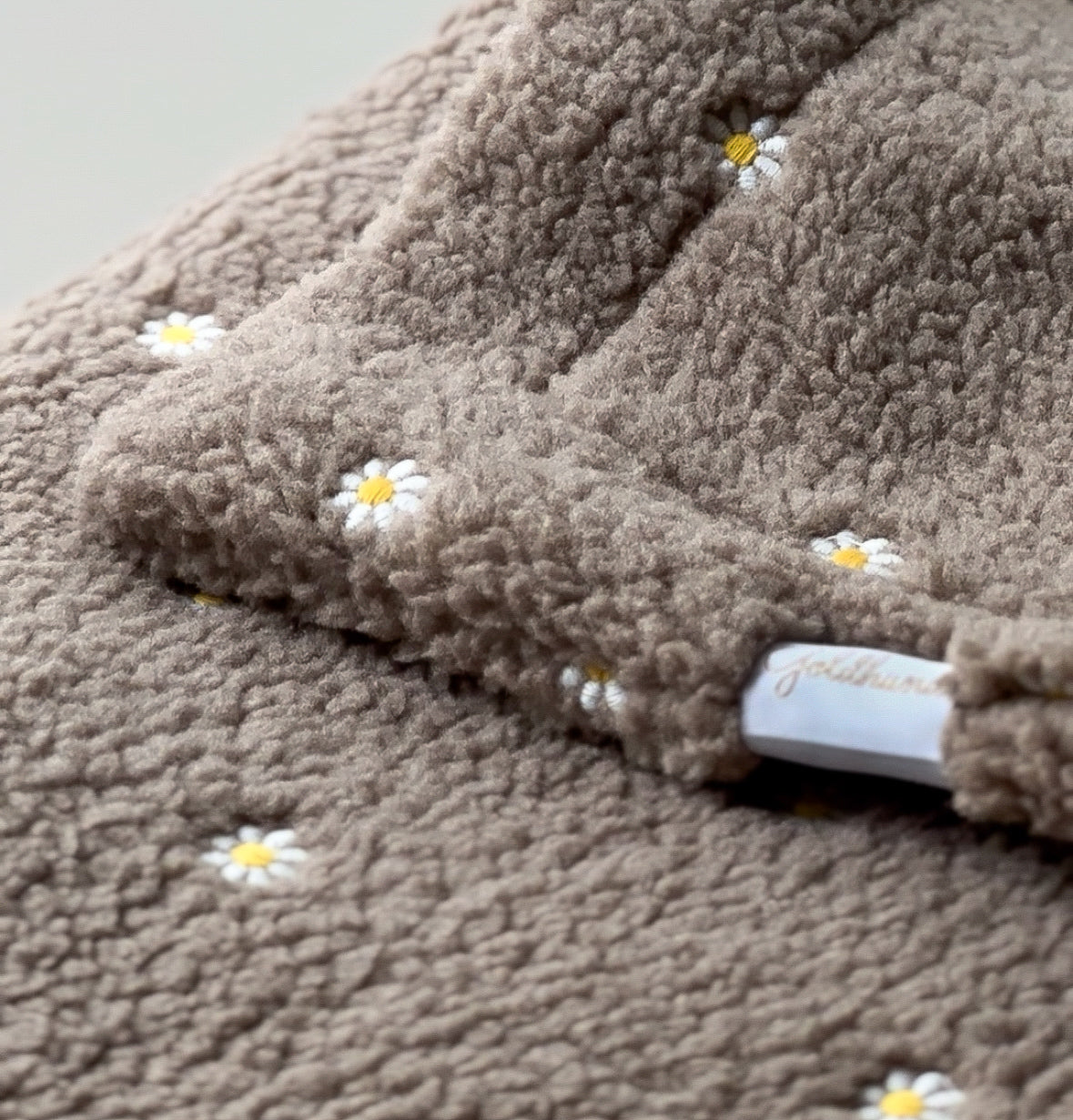 Teddydecke Gänseblümchen