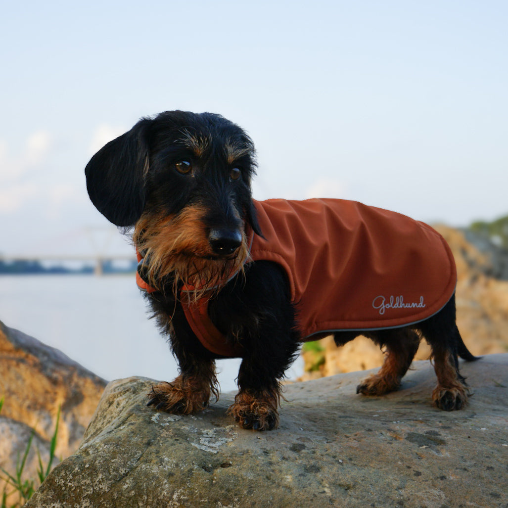 SALE leichter Hundemantel CosyShell light cognac Gr 6