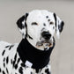 Hundeloop Fleece schwarz