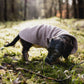 Hundepullover CosyShirt light Strick zimtfarben