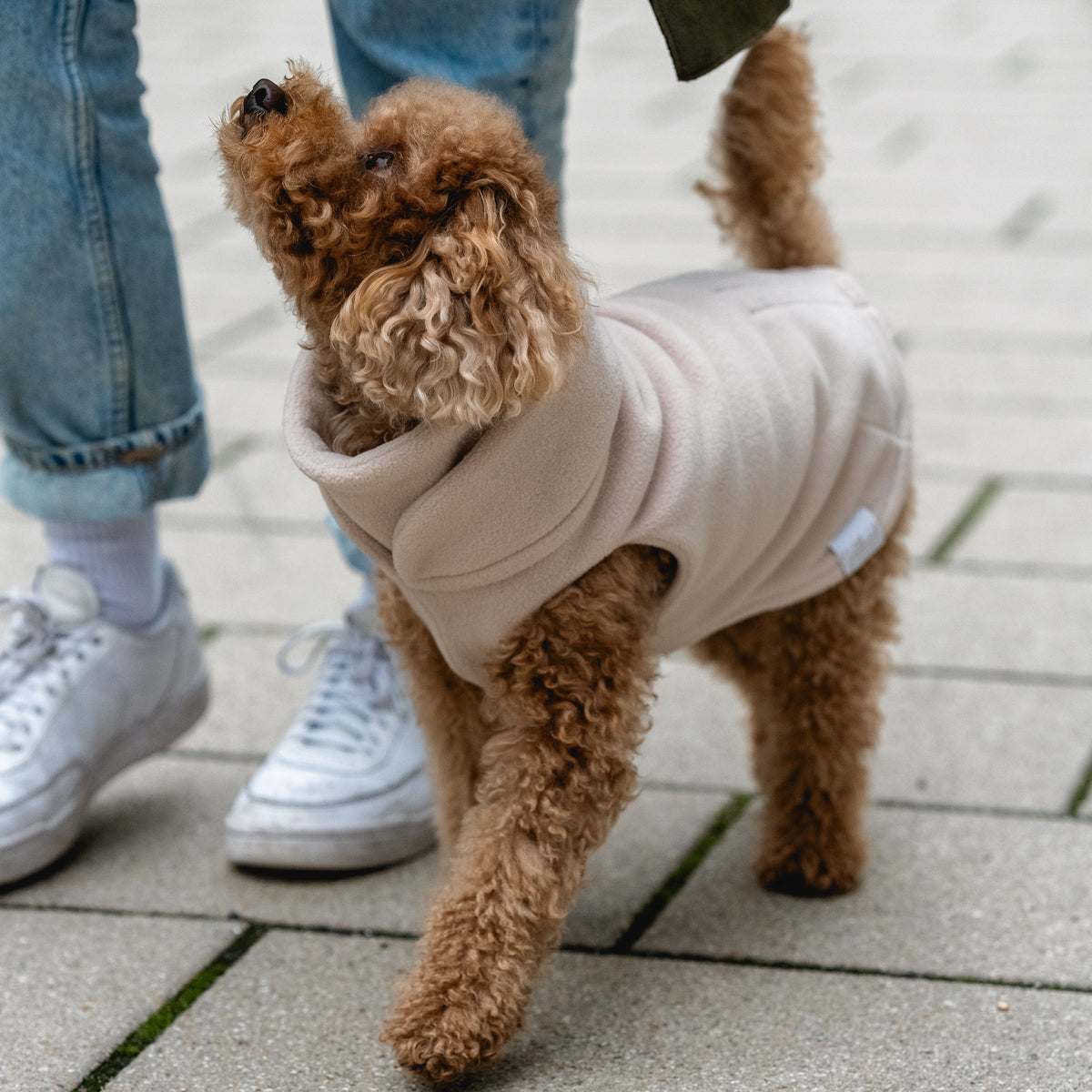 Hundeloop Fleece oatmeal