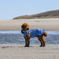 Hundebademantel CosyShirt küstenblau gestreift