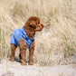 Hundebademantel CosyShirt küstenblau gestreift
