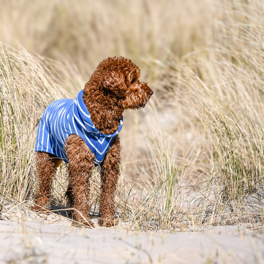 Hundebademantel CosyShirt küstenblau gestreift