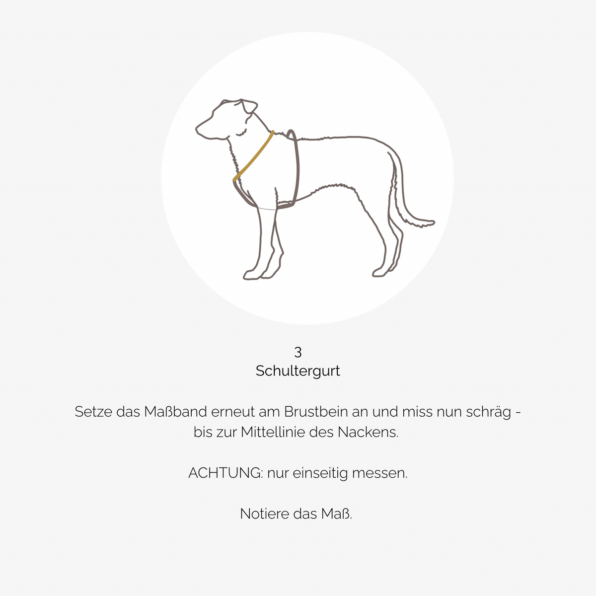 Hundegeschirr PURE Teddy dunkelbraun
