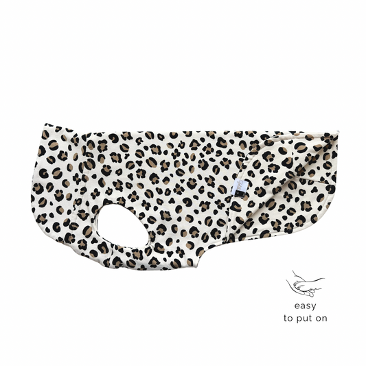 leichtes Hundeshirt CosyShirt light French Terry leo beige
