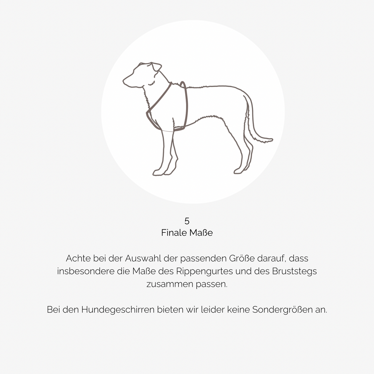 Hundegeschirr PURE Teddy dunkelbraun
