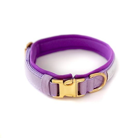 SALE Muddy Paw Halsband lila