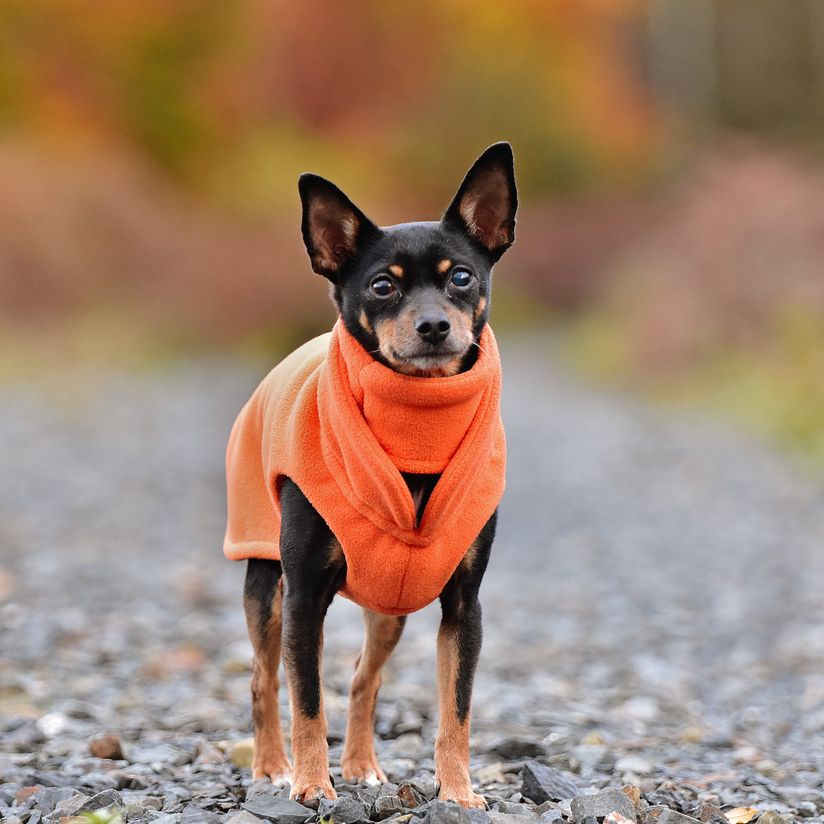 Hundepullover CosyShirt stay warm Fleece orange