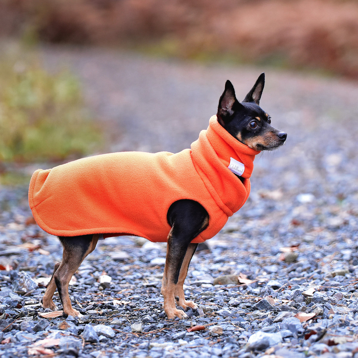 Hundepullover CosyShirt stay warm Fleece orange