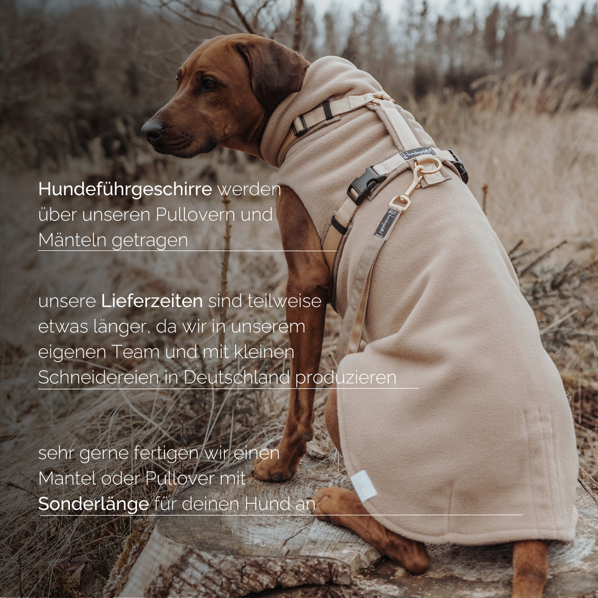 Hundepullover CosyShirt stay warm Teddy beige
