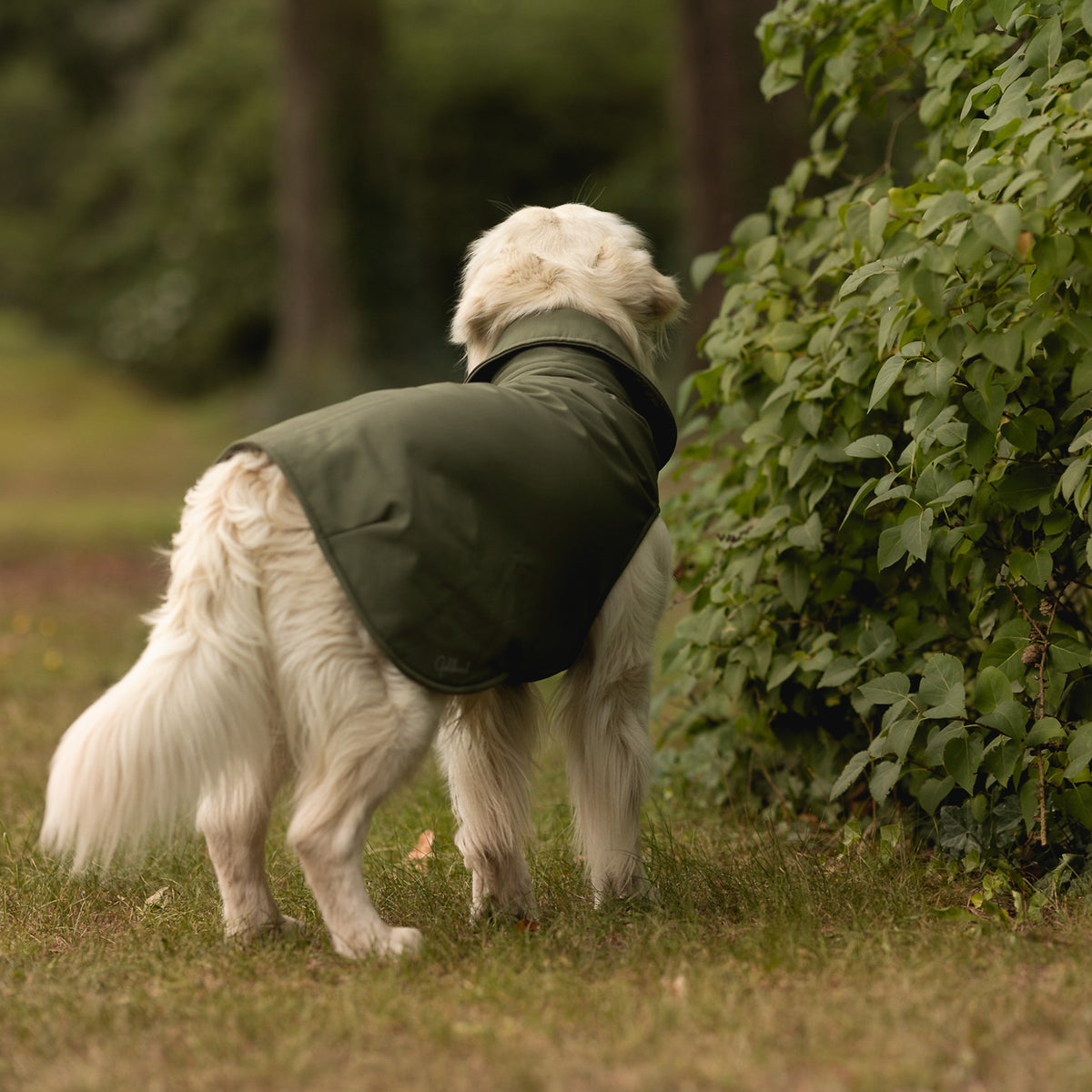 leichter Hundemantel CosyShell light khaki