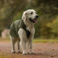 leichter Hundemantel CosyShell light khaki