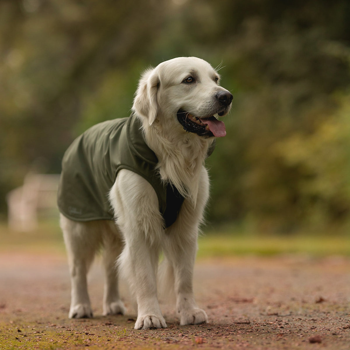 leichter Hundemantel CosyShell light khaki