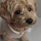 Hundebademantel CosyShirt dry hellbeige