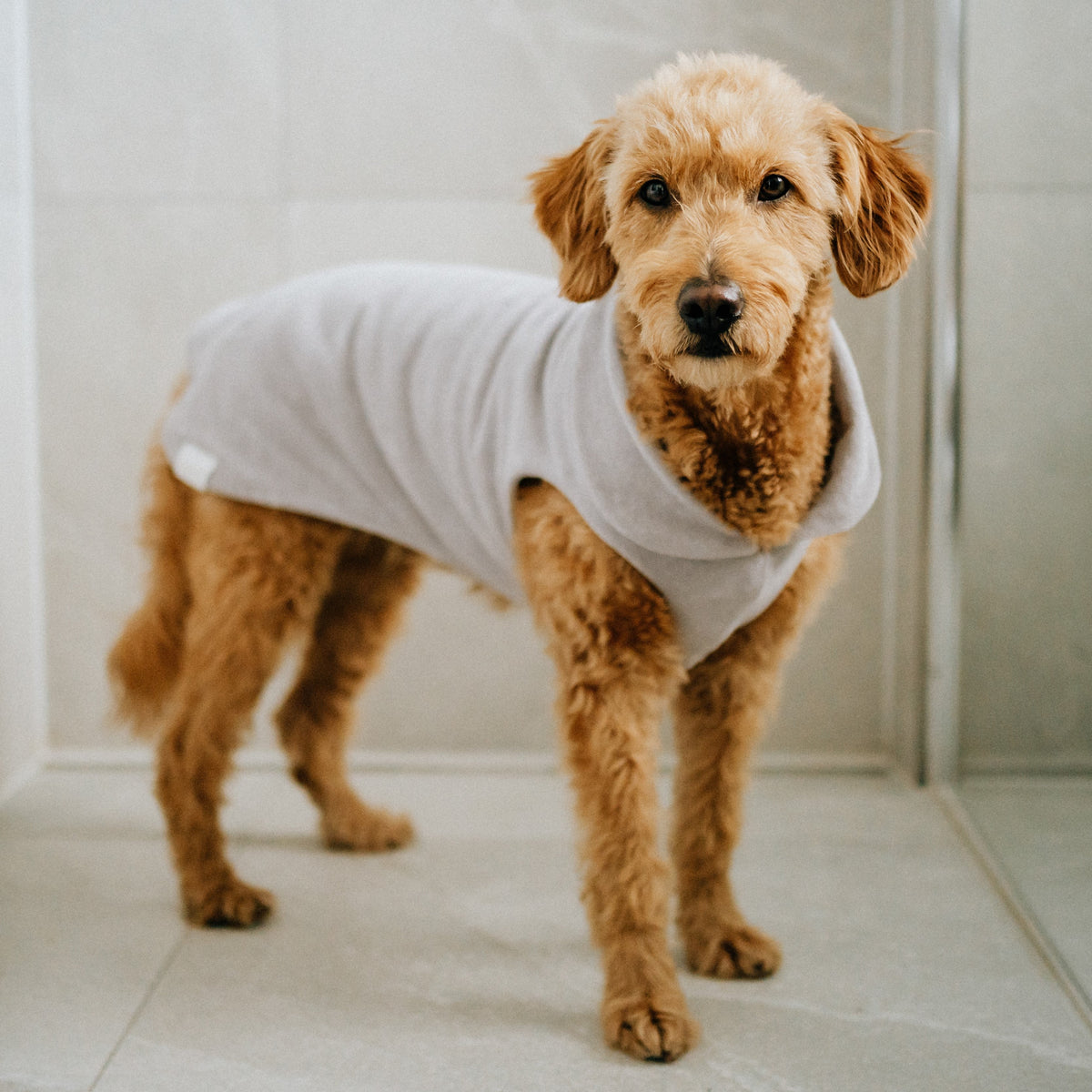 Hundebademantel CosyShirt dry hellgrau