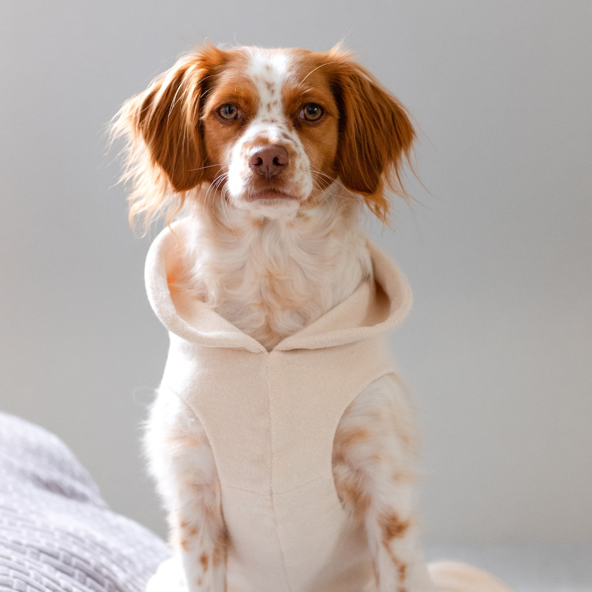 Hundebademantel CosyShirt dry hellbeige